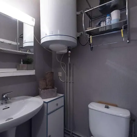 Studio 4 Pers Pres Des Pistes De Ski A Saint-Lary-Soulan, Proche Commerces Saint-Lary-Soulan